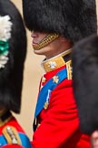 Trooping the Colour 2011: Close-up of HRH Prince William, The Duke of Cambridge, Colonel Irish Guards, at his first 'Trooping the Colour' parade..
Horse Guards Parade, Westminster,
London SW1,
Greater London,
United Kingdom,
on 11 June 2011 at 11:02, image #147