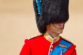 Trooping the Colour 2011: Close-up of HRH Prince William, The Duke of Cambridge, Colonel Irish Guards..
Horse Guards Parade, Westminster,
London SW1,
Greater London,
United Kingdom,
on 11 June 2011 at 11:07, image #170