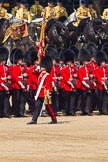 Trooping the Colour 2011: The Ensign for the Colour, Lt. Tom Ogilvy, Scots Guards, is carrying the Colour through the ranks of the assembled guardsmen..
Horse Guards Parade, Westminster,
London SW1,
Greater London,
United Kingdom,
on 11 June 2011 at 11:26, image #211