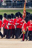 Trooping the Colour 2011: The Ensign for the Colour, Lt. Tom Ogilvy, Scots Guards, is carrying the Colour through the ranks of the assembled guardsmen..
Horse Guards Parade, Westminster,
London SW1,
Greater London,
United Kingdom,
on 11 June 2011 at 11:27, image #214