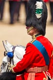 Trooping the Colour 2011: HRH Prince Charles, The Prince of Wales, during the March Past in slow time..
Horse Guards Parade, Westminster,
London SW1,
Greater London,
United Kingdom,
on 11 June 2011 at 11:38, image #246