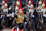 Trooping the Colour 2011: Close-up of Serrefile Captain S S Lukas, The Blues and Royals, leading the Blues and Royals element of the Household Cavalry on their way around the parade ground during the Ride Past..
Horse Guards Parade, Westminster,
London SW1,
Greater London,
United Kingdom,
on 11 June 2011 at 11:55, image #339