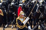 Trooping the Colour 2011: Close-up of Serrefile Captain S S Lukas, The Blues and Royals..
Horse Guards Parade, Westminster,
London SW1,
Greater London,
United Kingdom,
on 11 June 2011 at 11:55, image #342