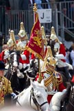 Trooping the Colour 2011: The Standard Bearer and Trumpeter, both from the Life Guards, during the Ride Past, close to the end of the parade..
Horse Guards Parade, Westminster,
London SW1,
Greater London,
United Kingdom,
on 11 June 2011 at 11:58, image #363