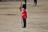 Trooping the Colour 2011: 'Keeper of the Ground' from the Welsh Guards, marking the position of the guard on the parade ground..
Horse Guards Parade, Westminster,
London SW1,
Greater London,
United Kingdom,
on 11 June 2011 at 12:06, image #390