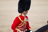 Trooping the Colour 2011: Close-up of The Field Officer, Lieutenant Colonel Lincoln P M Jopp..
Horse Guards Parade, Westminster,
London SW1,
Greater London,
United Kingdom,
on 11 June 2011 at 12:07, image #396