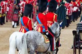 Trooping the Colour 2011: The March Off, the Massed Bands leaving the parade ground, followed by the Royal Procession. Here on the left HRH Prince Edward, the Duke of Kent, Colonel Scots Guards, and next to him HRH Prince William, The Duke of Cambridge, Colonel Irish Guards..
Horse Guards Parade, Westminster,
London SW1,
Greater London,
United Kingdom,
on 11 June 2011 at 12:10, image #418