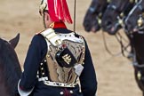 Trooping the Colour 2011: One of the four troopers of the Blues and Royals near the end of the Royal Procession during March Off. The reflection shows Horse Guards Building..
Horse Guards Parade, Westminster,
London SW1,
Greater London,
United Kingdom,
on 11 June 2011 at 12:12, image #429