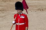 Trooping the Colour 2011: 'Keeper of the Ground', a Colour Sergeant of the Scots Guards, with the marker flag..
Horse Guards Parade, Westminster,
London SW1,
Greater London,
United Kingdom,
on 11 June 2011 at 12:13, image #435