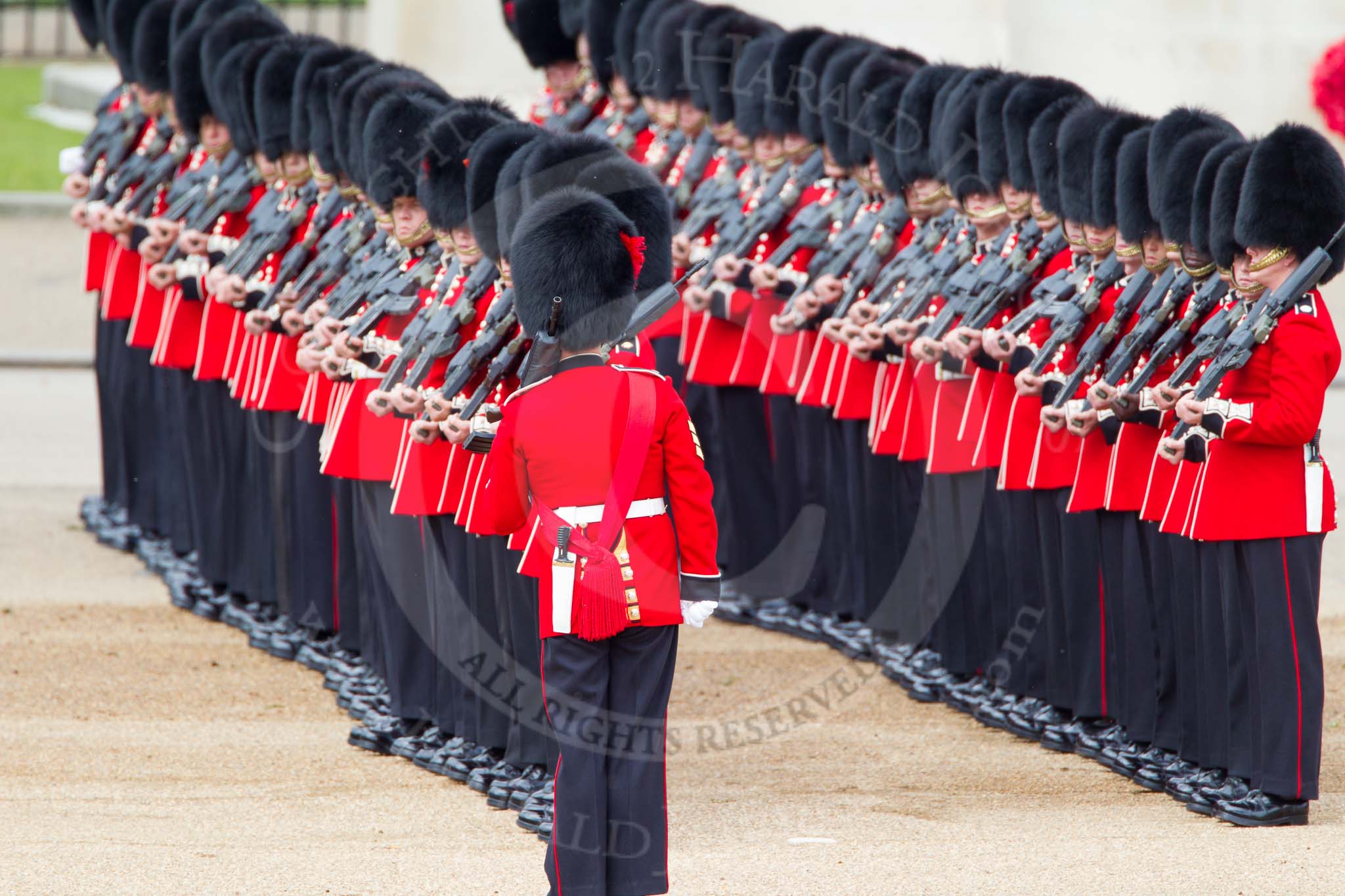 The Colonel's Review 2012: A Colour Sergeant of the Coldstream Guards inspecting the lines of guardsmen..
Horse Guards Parade, Westminster,
London SW1,

United Kingdom,
on 09 June 2012 at 10:31, image #84