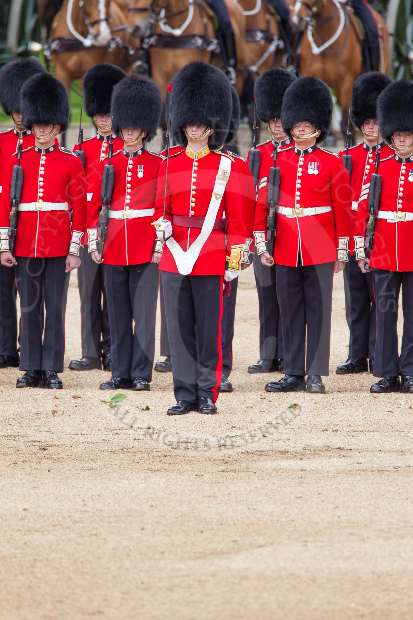 The Colonel's Review 2012: The Ensign of No. 1 Guard, wearing the white colour belt..
Horse Guards Parade, Westminster,
London SW1,

United Kingdom,
on 09 June 2012 at 11:09, image #223