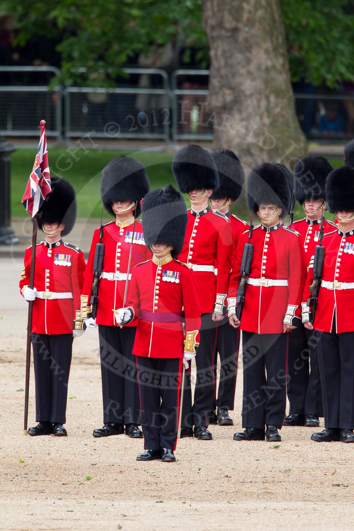 The Colonel's Review 2012: No. 1 Guard (Escort for the Colour) 1st Battalion Coldstream Guards, in front Captain R M Crook..
Horse Guards Parade, Westminster,
London SW1,

United Kingdom,
on 09 June 2012 at 11:09, image #224