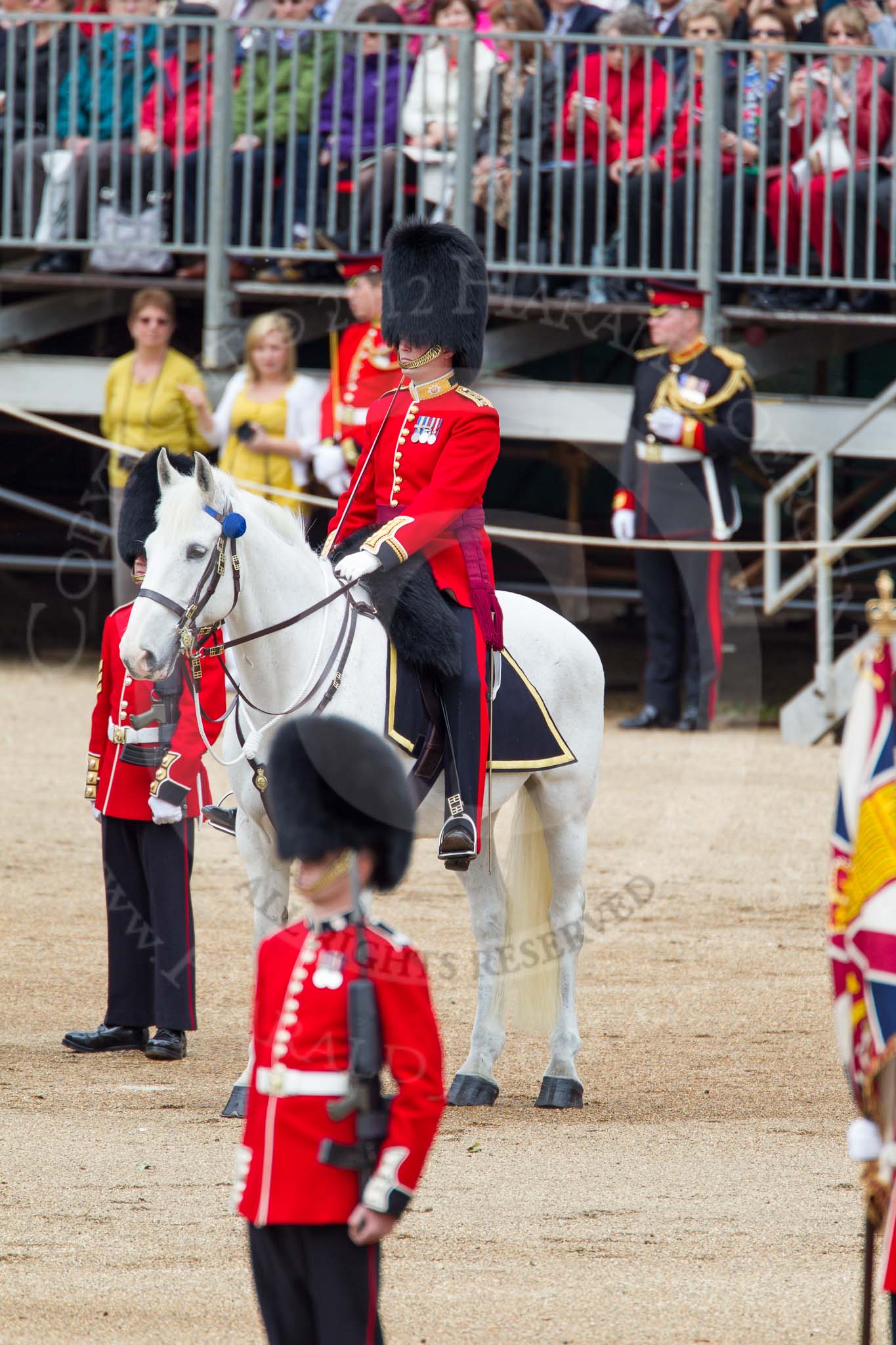 The Colonel's Review 2012: The Adjutant of the Parade, Captain F O B Wells, Coldstream Guards..
Horse Guards Parade, Westminster,
London SW1,

United Kingdom,
on 09 June 2012 at 11:16, image #261