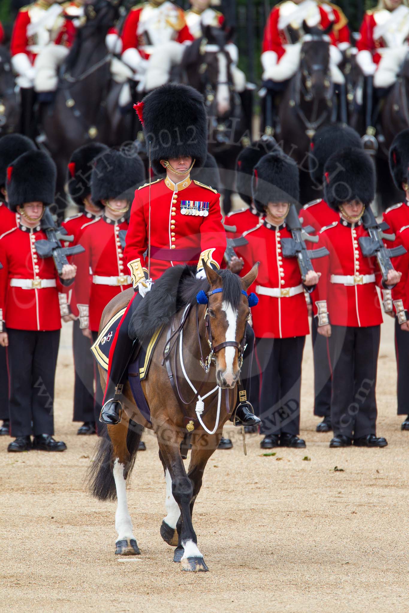 The Colonel's Review 2012: The Field Officer in Brigade Waiting, Lieutenant Colonel R C N Sergeant, Coldstream Guards, riding Burniston..
Horse Guards Parade, Westminster,
London SW1,

United Kingdom,
on 09 June 2012 at 11:17, image #263