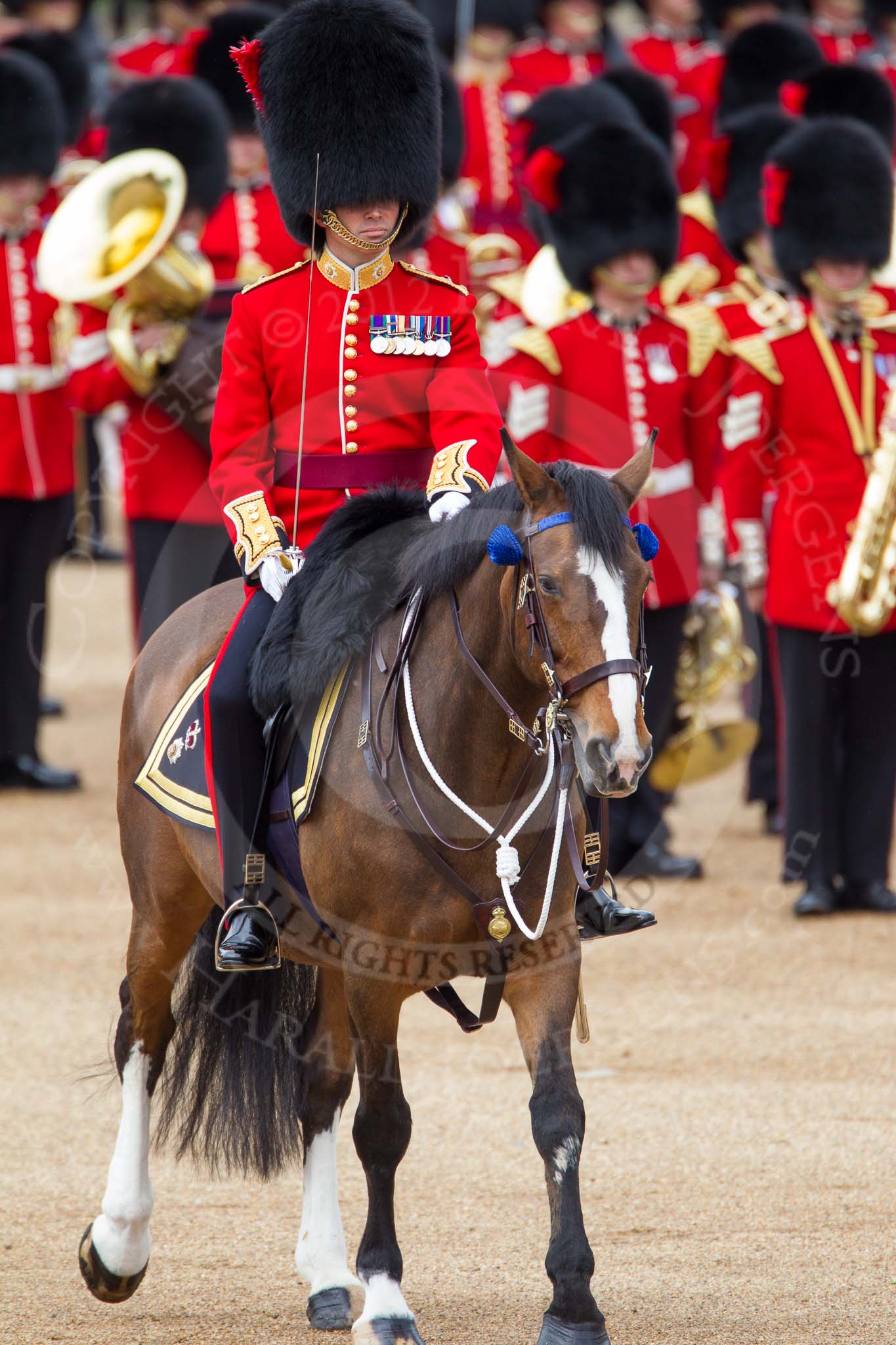 The Colonel's Review 2012: The Field Officer in Brigade Waiting, Lieutenant Colonel R C N Sergeant, Coldstream Guards, riding Burniston..
Horse Guards Parade, Westminster,
London SW1,

United Kingdom,
on 09 June 2012 at 11:17, image #264
