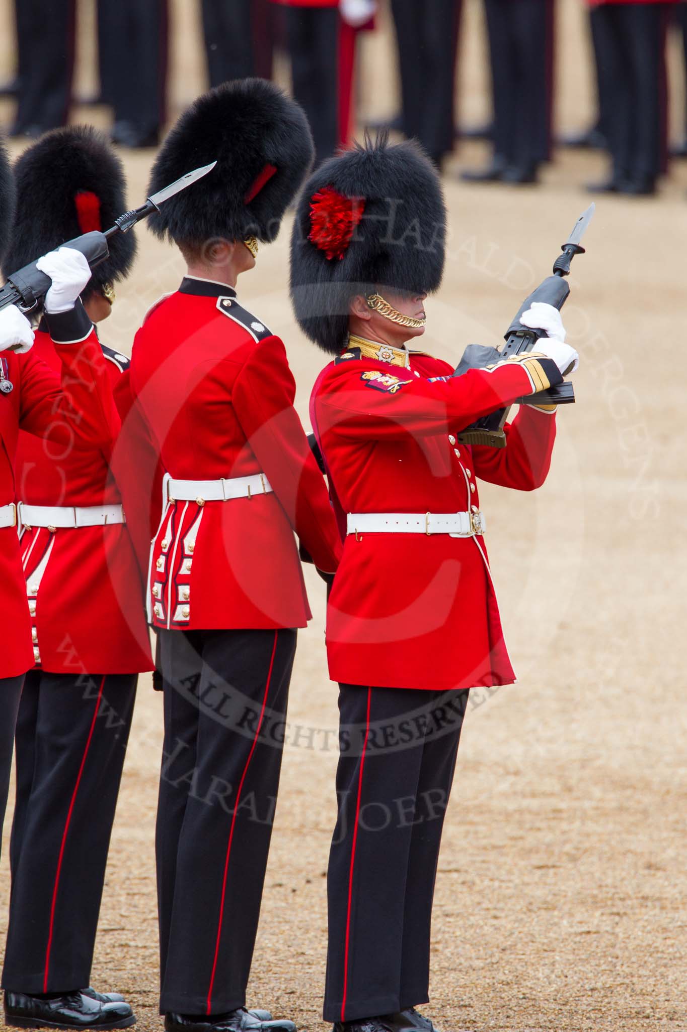 The Colonel's Review 2012: The Colour Sergeants of No. 1 Guard, now the Escort to the Colour, saluting..
Horse Guards Parade, Westminster,
London SW1,

United Kingdom,
on 09 June 2012 at 11:19, image #273