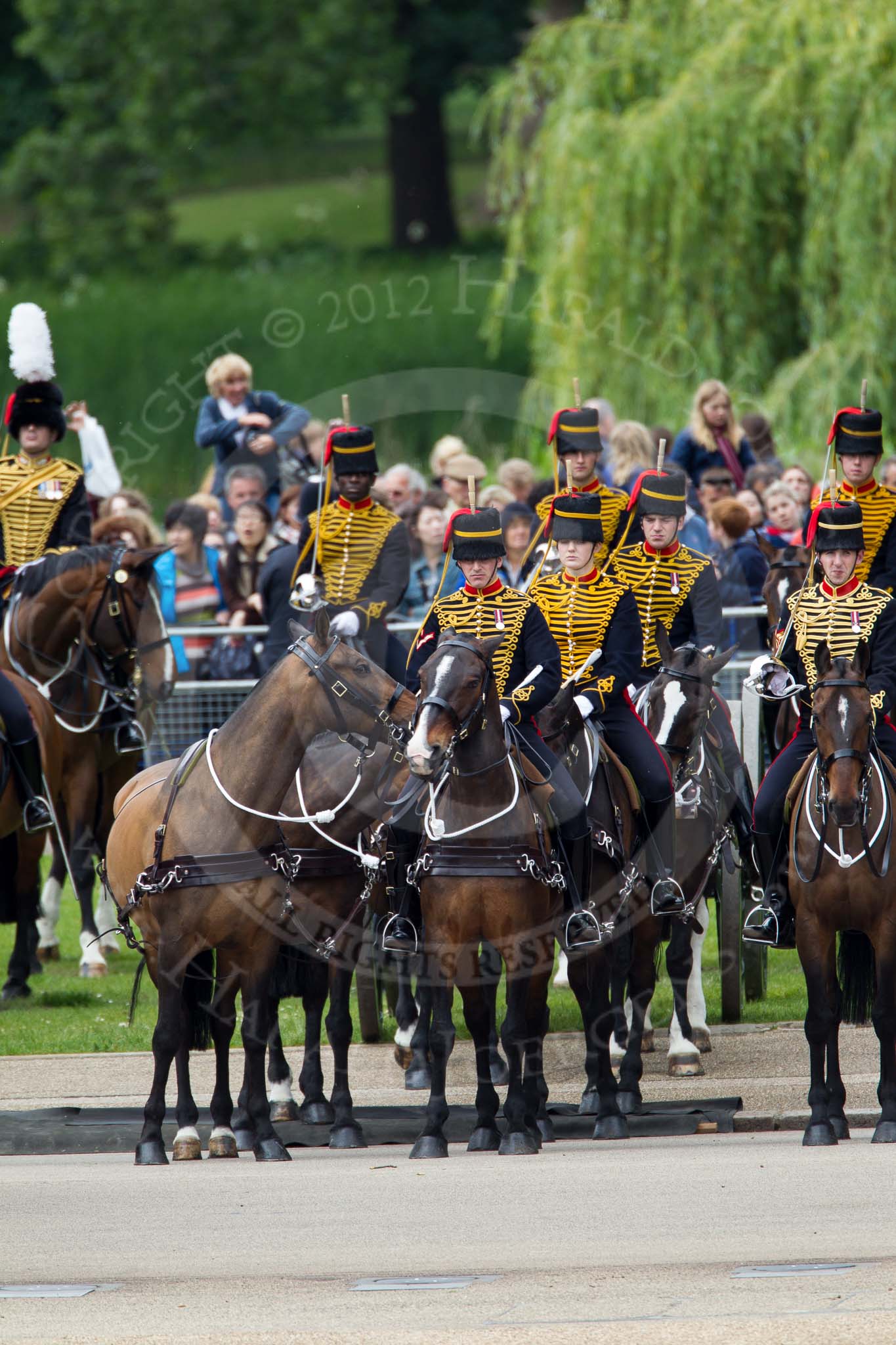 The Colonel's Review 2012: The King's Troop Royal Horse Artillery patiently waiting for most of the parade..
Horse Guards Parade, Westminster,
London SW1,

United Kingdom,
on 09 June 2012 at 11:21, image #285