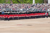 The Colonel's Review 2012: No. 6 guard (F Company Scots Guards)..
Horse Guards Parade, Westminster,
London SW1,

United Kingdom,
on 09 June 2012 at 10:28, image #68