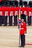 The Colonel's Review 2012: Colour Sergeant Paul Baines MC holding the uncased Colour..
Horse Guards Parade, Westminster,
London SW1,

United Kingdom,
on 09 June 2012 at 10:34, image #91