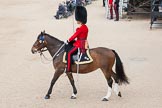 The Colonel's Review 2012: The Field Officer in Brigade Waiting, Lieutenant Colonel R C N Sergeant, Coldstream Guards, riding the experienced Burniston..
Horse Guards Parade, Westminster,
London SW1,

United Kingdom,
on 09 June 2012 at 10:38, image #101