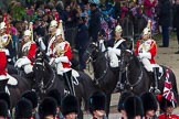 The Colonel's Review 2012: Two Farriers, with their black uniforms and shiny axes, at the rear of the Fourth Division of the Souvereign's Escort, the Life Guards..
Horse Guards Parade, Westminster,
London SW1,

United Kingdom,
on 09 June 2012 at 10:58, image #160