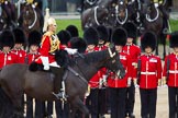 The Colonel's Review 2012.
Horse Guards Parade, Westminster,
London SW1,

United Kingdom,
on 09 June 2012 at 11:01, image #175