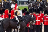 The Colonel's Review 2012.
Horse Guards Parade, Westminster,
London SW1,

United Kingdom,
on 09 June 2012 at 11:01, image #177