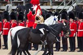 The Colonel's Review 2012: Aide-de-Camp Captain F A O Kuku, Grenadier Guards, Chief of Staff Colonel R H W St G Bodington, Welsh Guards, Silver-Stick-in-Waiting, Colonel S H Cowen, The Blues and Royals (Royal Horse Guards and 1st Dragoons), all saluting the Colour..
Horse Guards Parade, Westminster,
London SW1,

United Kingdom,
on 09 June 2012 at 11:02, image #184