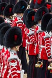 The Colonel's Review 2012.
Horse Guards Parade, Westminster,
London SW1,

United Kingdom,
on 09 June 2012 at 11:07, image #213