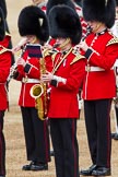 The Colonel's Review 2012: A Grenadier Guards Band trombonist (?)..
Horse Guards Parade, Westminster,
London SW1,

United Kingdom,
on 09 June 2012 at 11:09, image #228
