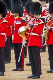 The Colonel's Review 2012: A Grenadier Guards Band ??ist (?) with the band reflected in the instrument..
Horse Guards Parade, Westminster,
London SW1,

United Kingdom,
on 09 June 2012 at 11:10, image #229