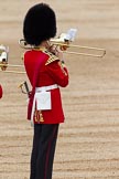 The Colonel's Review 2012: The reflection in the instrument is, again, the point in this image..
Horse Guards Parade, Westminster,
London SW1,

United Kingdom,
on 09 June 2012 at 11:11, image #241