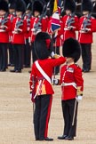 The Colonel's Review 2012.
Horse Guards Parade, Westminster,
London SW1,

United Kingdom,
on 09 June 2012 at 11:18, image #271