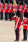 The Colonel's Review 2012: The Colour has been placed in the colour belt, and the Ensign is now ready to troop the Colour..
Horse Guards Parade, Westminster,
London SW1,

United Kingdom,
on 09 June 2012 at 11:18, image #272