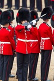 The Colonel's Review 2012.
Horse Guards Parade, Westminster,
London SW1,

United Kingdom,
on 09 June 2012 at 11:19, image #274