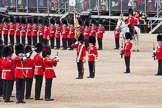 The Colonel's Review 2012: The Collection of the Colour - the Colour has been handed over..
Horse Guards Parade, Westminster,
London SW1,

United Kingdom,
on 09 June 2012 at 11:19, image #275