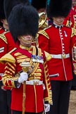 The Colonel's Review 2012: Senior Drum Major, M Betts, Grenadier Guards..
Horse Guards Parade, Westminster,
London SW1,

United Kingdom,
on 09 June 2012 at 11:48, image #361
