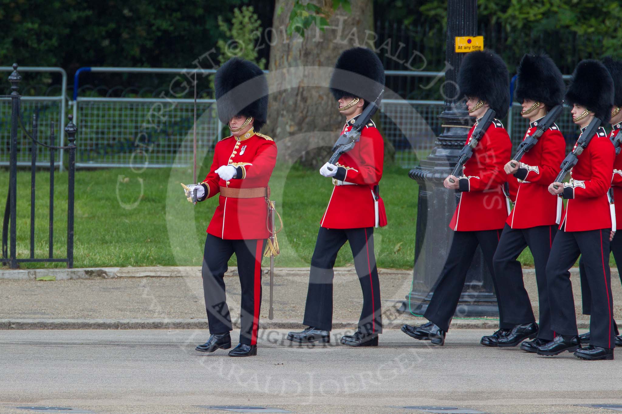 Trooping the Colour 2012: Captain M H Meredith leading No. 3 Guard
No. 7 Company, Coldstream Guards, onto Horse Guards Parade..
Horse Guards Parade, Westminster,
London SW1,

United Kingdom,
on 16 June 2012 at 10:27, image #60