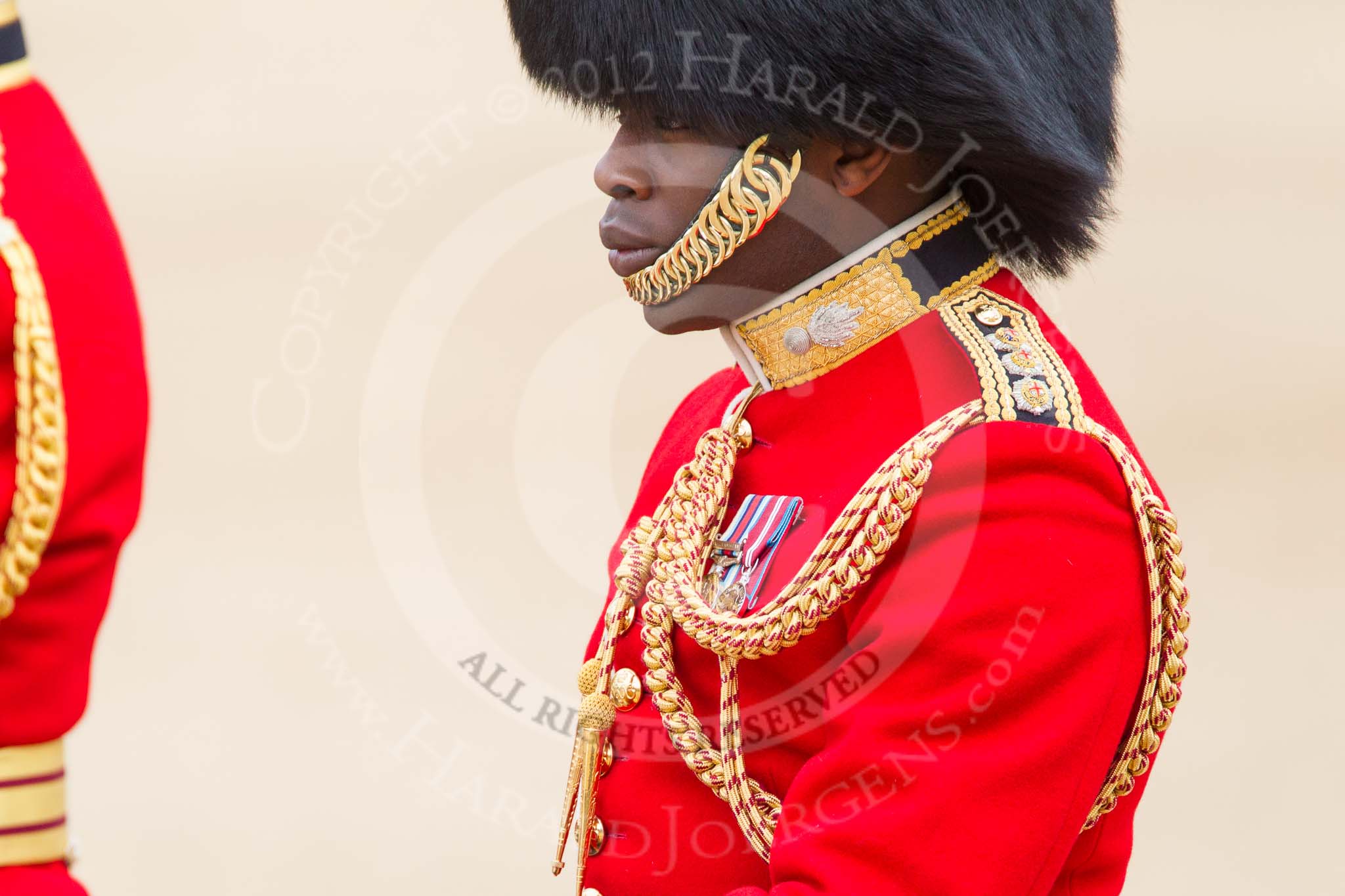 Trooping the Colour 2012: Close-up view of the Aide-de-Camp, Captain Folarin Kuku, Grenadier Guards..
Horse Guards Parade, Westminster,
London SW1,

United Kingdom,
on 16 June 2012 at 11:03, image #208