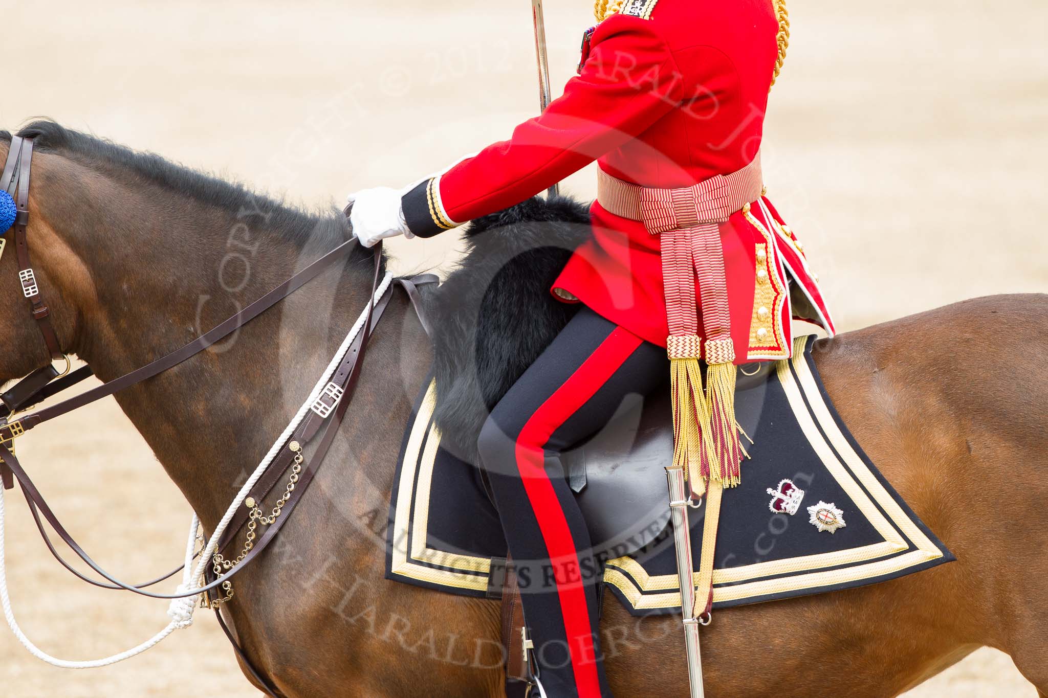 Trooping the Colour 2012: A detail shot og Burniston, the horse carrying the Field Officer, Lieutenant Colonel R C N Sergeant, Coldstream Guards, and many other field officers in the years before..
Horse Guards Parade, Westminster,
London SW1,

United Kingdom,
on 16 June 2012 at 11:39, image #451