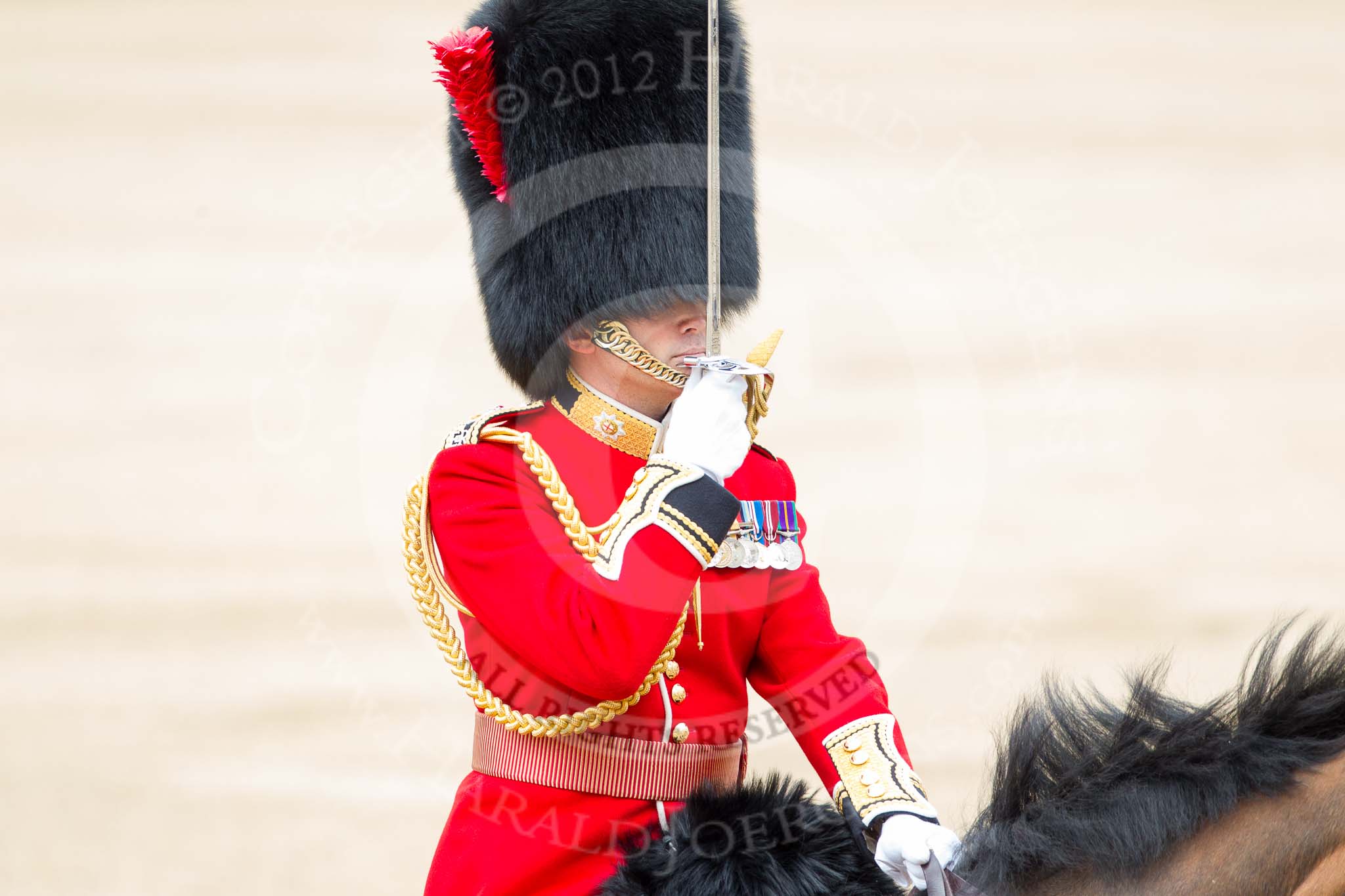Trooping the Colour 2012: The Field Officer in Brigade Waiting, Lieutenant Colonel R C N Sergeant, Coldstream Guards, saluting to Her Majesty..
Horse Guards Parade, Westminster,
London SW1,

United Kingdom,
on 16 June 2012 at 11:40, image #457