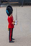 Trooping the Colour 2012: A closer look at Subaltern and Ensign of No. 5 Guard, 1st Battalion Irish Guards..
Horse Guards Parade, Westminster,
London SW1,

United Kingdom,
on 16 June 2012 at 10:29, image #65