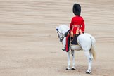Trooping the Colour 2012: The Adjutant of the Parade, Captain F O B Wells, Coldstream Guards..
Horse Guards Parade, Westminster,
London SW1,

United Kingdom,
on 16 June 2012 at 10:34, image #83