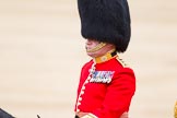 Trooping the Colour 2012: A close-up view of Colonel Coldstream Guards -
Lieutenant General J J C Bucknall..
Horse Guards Parade, Westminster,
London SW1,

United Kingdom,
on 16 June 2012 at 11:03, image #203