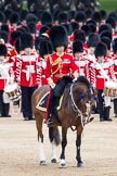 Trooping the Colour 2012: A very detailed view of the Field Officer in Brigade Waiting, Lieutenant Colonel R C N Sergeant, Coldstream Guards, on Burniston, despite the short sharp shower visible at full scale..
Horse Guards Parade, Westminster,
London SW1,

United Kingdom,
on 16 June 2012 at 11:20, image #303