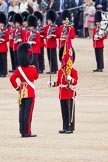 Trooping the Colour 2012: The Regimental Sergeant Major of No. 1 Guard, the Escort for the Colour, has received the Colour from the Colour Sergeant, and is about to hand it over to the Ensign..
Horse Guards Parade, Westminster,
London SW1,

United Kingdom,
on 16 June 2012 at 11:21, image #305