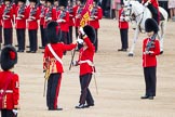 Trooping the Colour 2012: The Regimental Sergeant Major of No. 1 Guard, the Escort for the Colour, steps forward to hand the the Colour to the Ensign..
Horse Guards Parade, Westminster,
London SW1,

United Kingdom,
on 16 June 2012 at 11:21, image #307