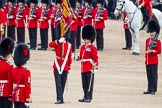 Trooping the Colour 2012: The handover is complete, and the Ensign turns towards the Escort to the Colour..
Horse Guards Parade, Westminster,
London SW1,

United Kingdom,
on 16 June 2012 at 11:21, image #310