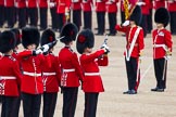 Trooping the Colour 2012: The handover is complete, and the Ensign turns towards the Escort for the Colour that has now become the Escort to the Colour..
Horse Guards Parade, Westminster,
London SW1,

United Kingdom,
on 16 June 2012 at 11:22, image #312