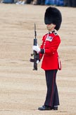 Trooping the Colour 2012: A close-up view of the Colour Sergeant,.
Horse Guards Parade, Westminster,
London SW1,

United Kingdom,
on 16 June 2012 at 11:22, image #316